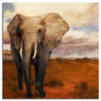 Olifanten schilderij - Olifant uit Afrika